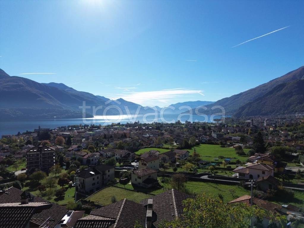 terreno agricolo in vendita a Gravedona ed Uniti