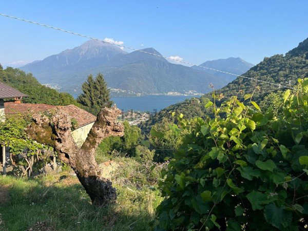 casa indipendente in vendita a Gravedona ed Uniti in zona Germasino