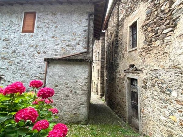 esavano in vendita a Gravedona ed Uniti in zona Gravedona