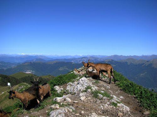casa indipendente in vendita a Bellagio