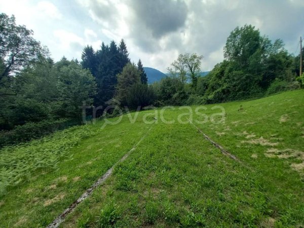terreno agricolo in vendita a Bellagio in zona Rovenza