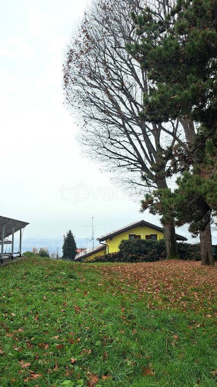 immagine annuncio 0 di 4