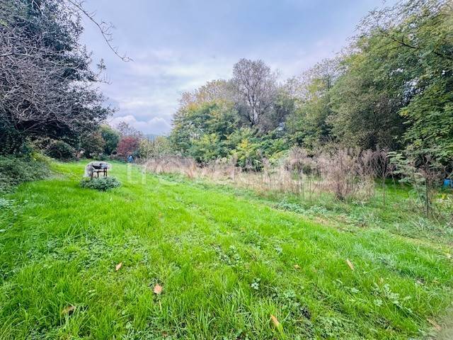 terreno edificabile in vendita a Colverde