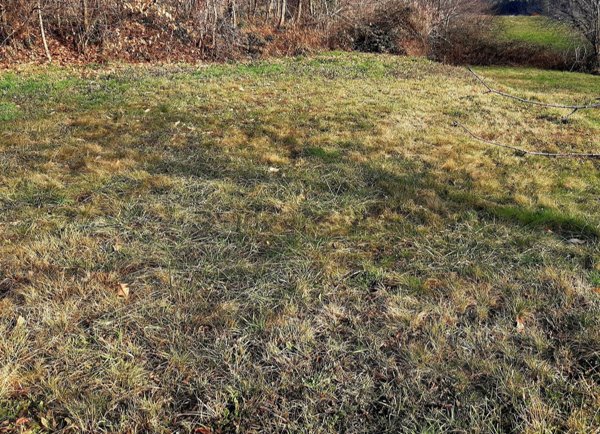 terreno agricolo in vendita a Colverde