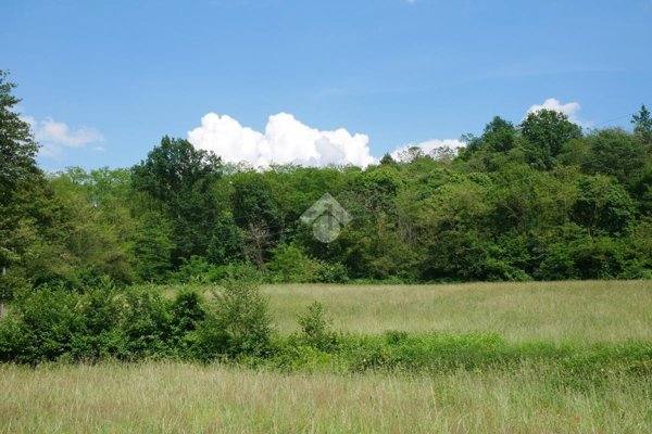terreno agricolo in vendita a Colverde in zona Parè