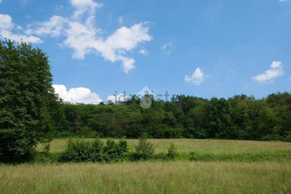 terreno agricolo in vendita a Colverde in zona Gironico
