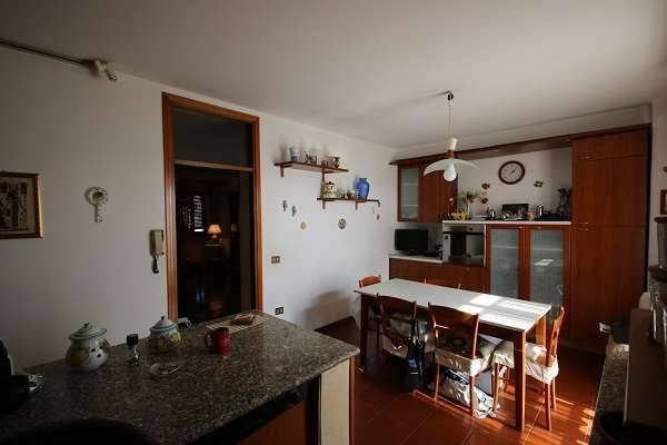 appartamento in vendita a Colverde