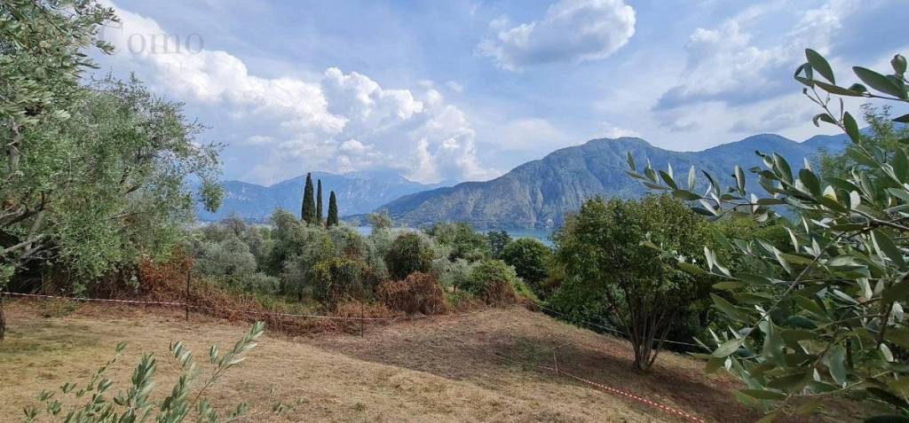 terreno agricolo in vendita a Tremezzina
