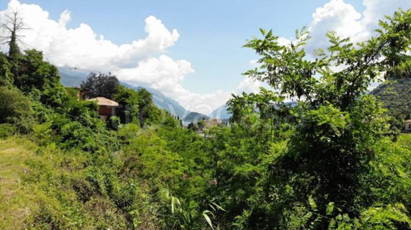 terreno agricolo in vendita a Tremezzina