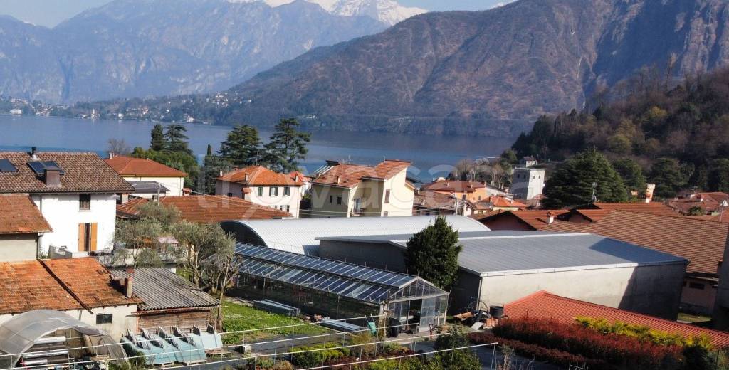 terreno agricolo in vendita a Tremezzina in zona Lenno