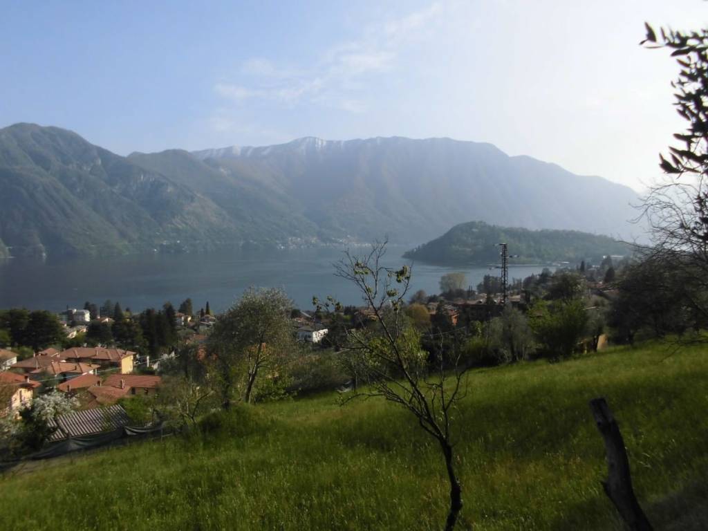 terreno edificabile in vendita a Tremezzina