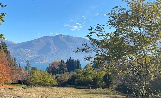 negozio in vendita a Tremezzina in zona Tremezzo