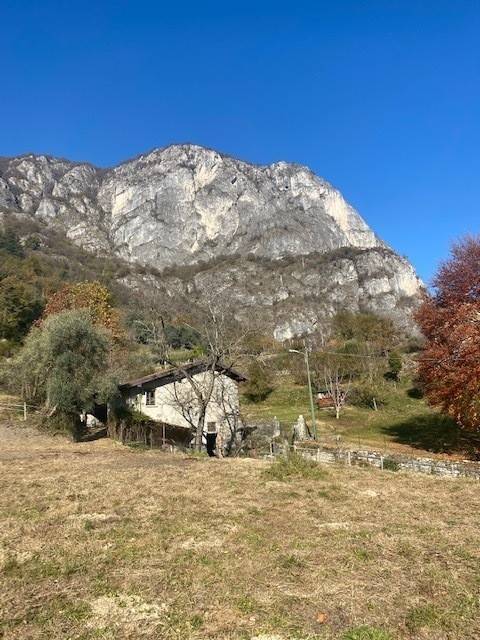 terreno agricolo in vendita a Tremezzina in zona Tremezzo