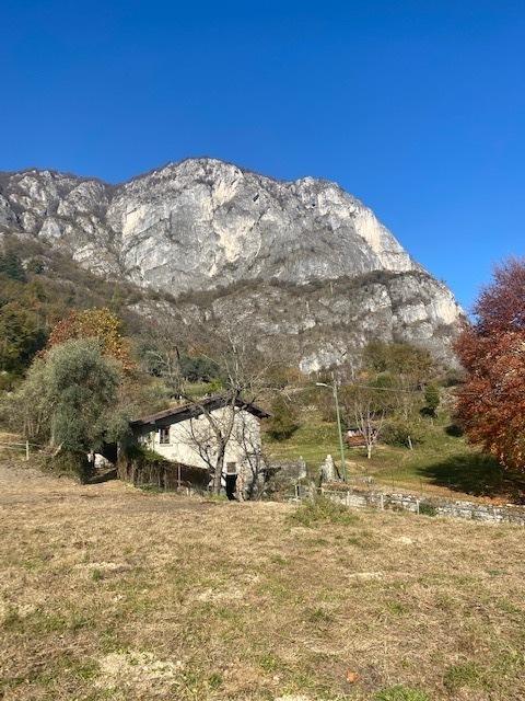 terreno agricolo in vendita a Tremezzina in zona Tremezzo