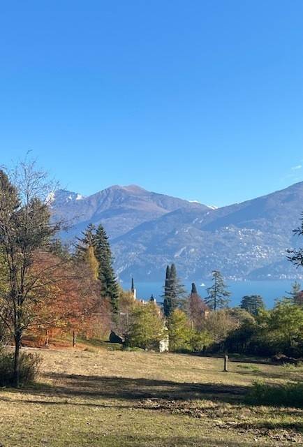 terreno agricolo in vendita a Tremezzina in zona Lenno