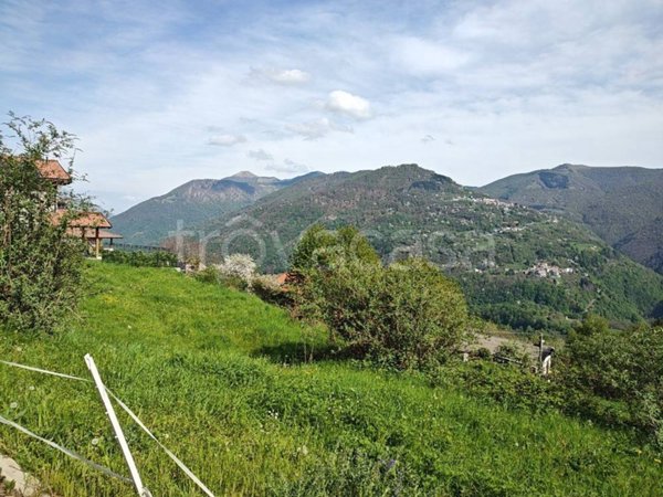terreno agricolo in vendita ad Alta Valle Intelvi in zona Ramponio Verna