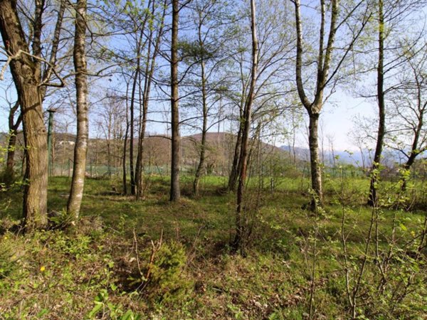 terreno agricolo in vendita ad Alta Valle Intelvi in zona Pellio Intelvi