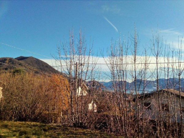 terreno agricolo in vendita ad Alta Valle Intelvi in zona Pellio Intelvi
