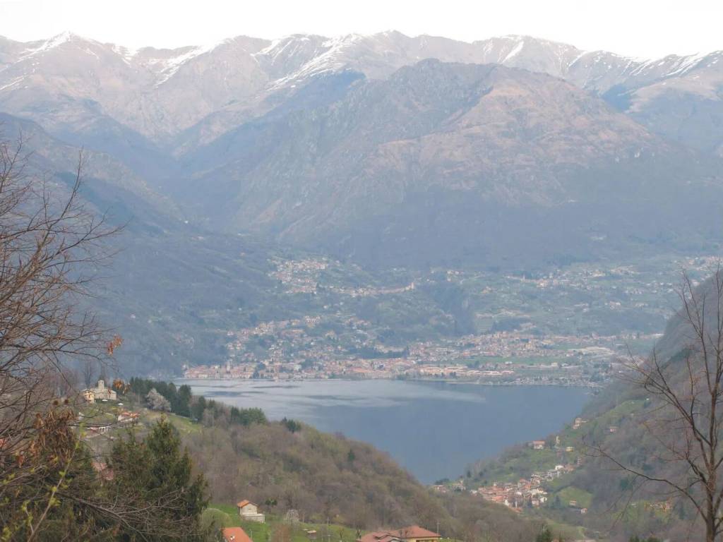 terreno agricolo in vendita ad Alta Valle Intelvi in zona Pellio Intelvi