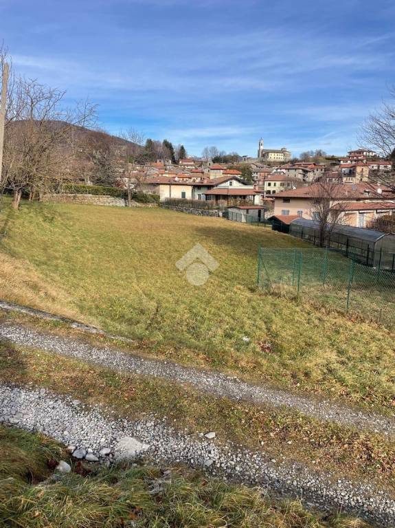 terreno agricolo in vendita ad Alta Valle Intelvi