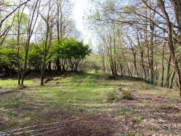 terreno agricolo in vendita ad Alta Valle Intelvi in zona Pellio Intelvi