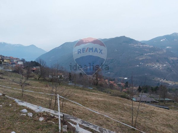 terreno agricolo in vendita ad Alta Valle Intelvi