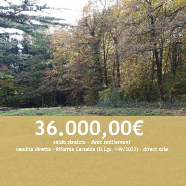 terreno agricolo in vendita ad Alta Valle Intelvi in zona Pellio Intelvi