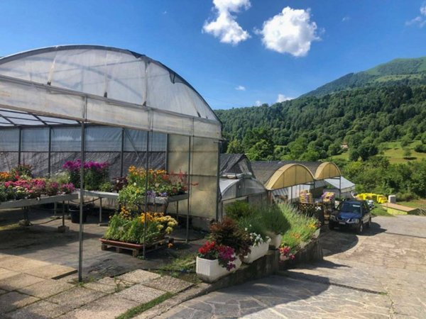 negozio in vendita a Centro Valle Intelvi in zona Castiglione d'Intelvi