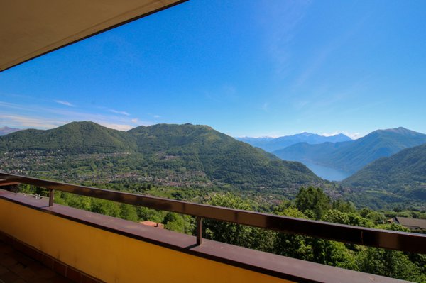 immagine annuncio 0 di 15