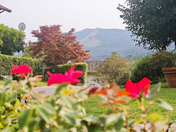 appartamento in vendita a Centro Valle Intelvi in zona San Fedele Intelvi