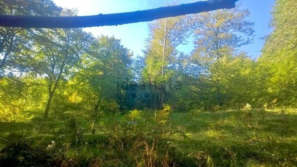 terreno agricolo in vendita a Centro Valle Intelvi