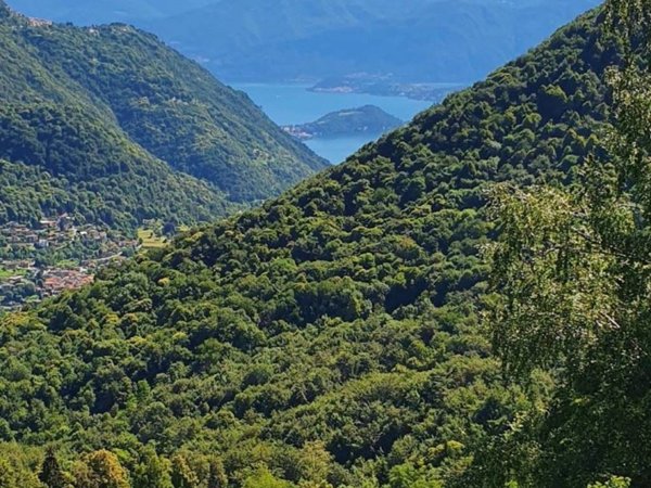 casa indipendente in vendita a Centro Valle Intelvi