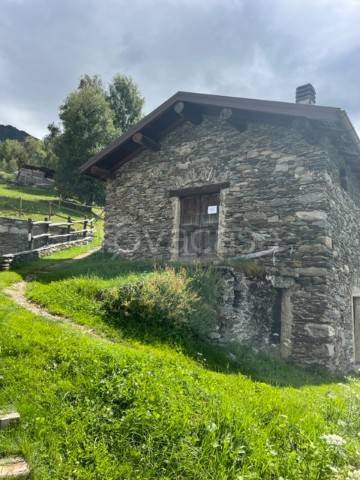 immagine annuncio 0 di 15