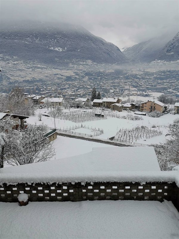 casa indipendente in vendita ad Albosaggia in zona Moia