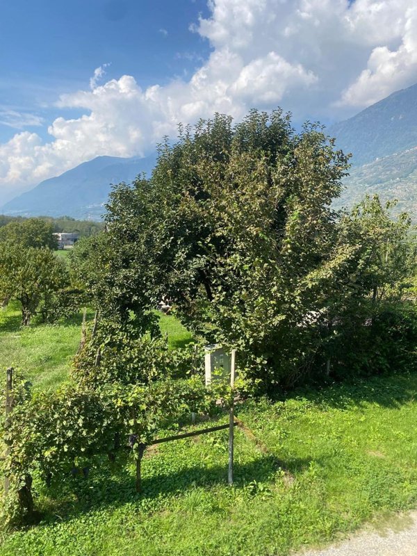 appartamento in vendita ad Albosaggia in zona Moia