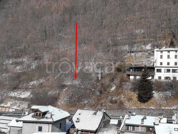 terreno agricolo in vendita ad Aprica