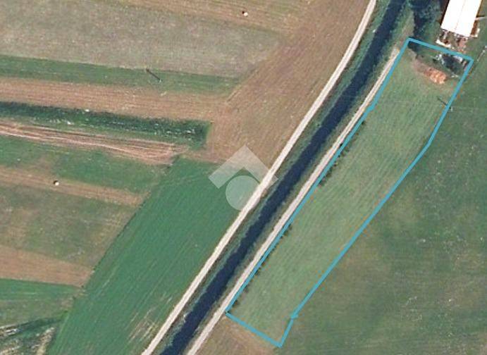 terreno agricolo in vendita ad Ardenno
