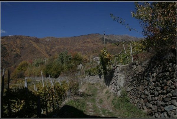 casale in vendita ad Ardenno