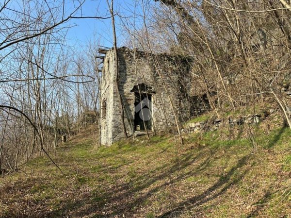 terreno agricolo in vendita a Berbenno di Valtellina