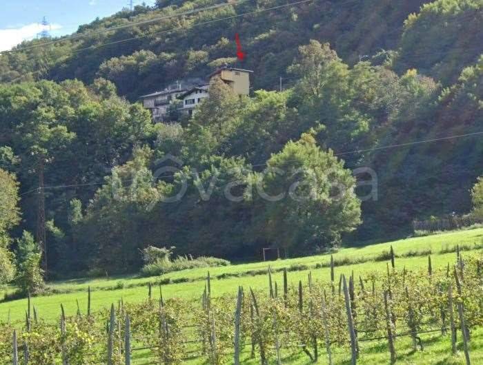 appartamento in vendita a Caiolo