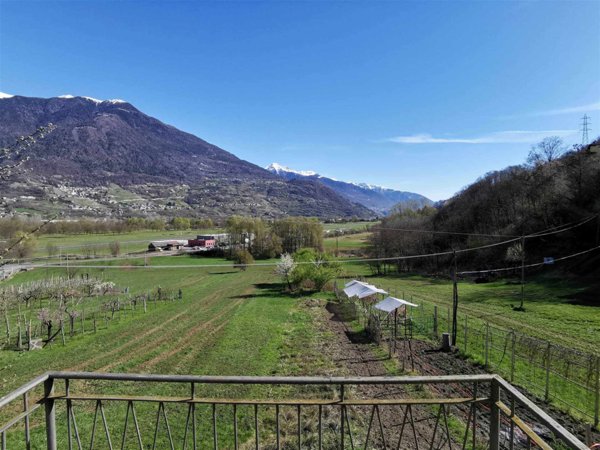 immagine annuncio 0 di 15