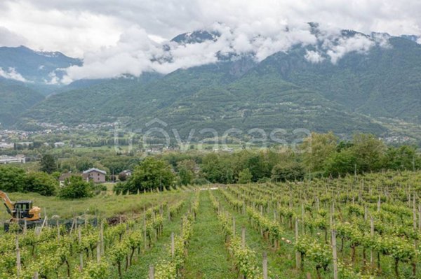 terreno agricolo in vendita a Castione Andevenno in zona Canovi