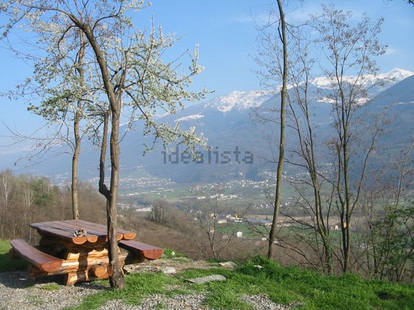 appartamento in vendita a Castione Andevenno