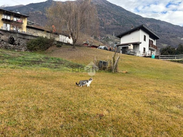 terreno edificabile in vendita a Castione Andevenno in zona Canovi