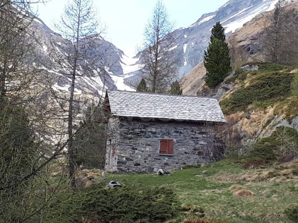 appartamento in vendita a Chiesa in Valmalenco in zona Chiareggio