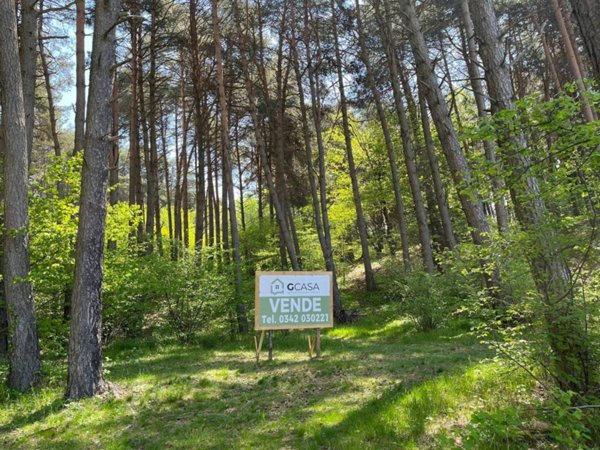 terreno edificabile in vendita a Civo in zona Poira