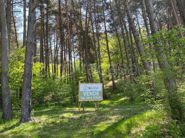 terreno edificabile in vendita a Civo in zona Poira