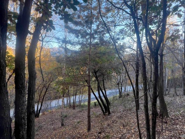 terreno edificabile in vendita a Civo in zona Poira