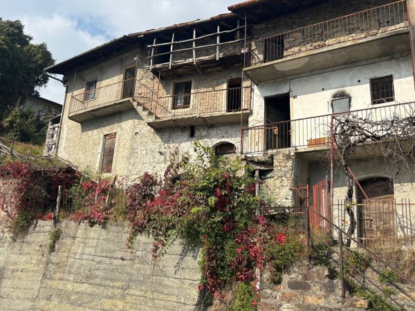 esavano in vendita a Civo in zona Ponte di Ganda