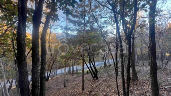 terreno in vendita a Civo in zona Poira